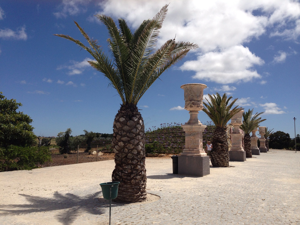 Palms and Urns