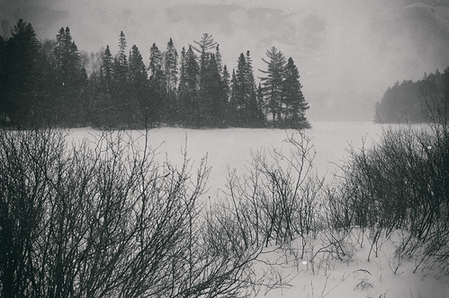 winter snow ontario canada algonquinpark 2014 opeongoroad voigtlandernokton35mm14 lakecostello sonynex6