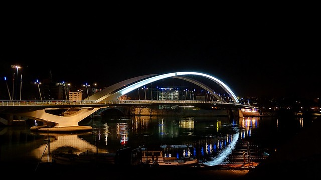Pont Raymond Barre night (2)