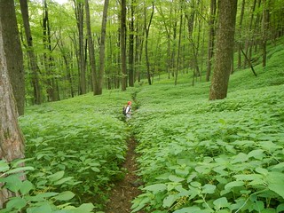 Appalachian Trail 2012
