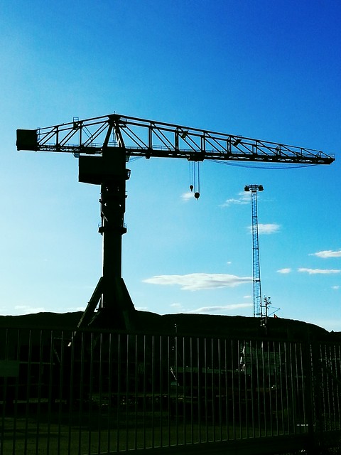 Once a crane, now a weather vane