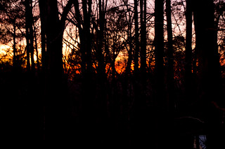Fiery sunset | Project 365-031 013114 The sun was a bright o… | Flickr