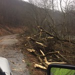 Logan County Trees down on Saw Mill Road
