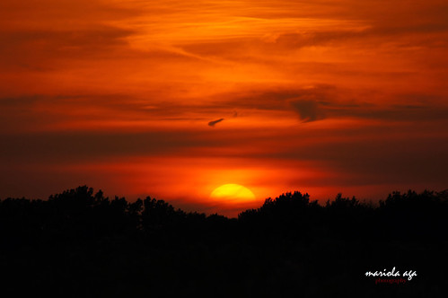 in a sea of ​​fire by mariola aga,                 park trees sunset red summer sky sun nature silhouette evening tones thegalaxy