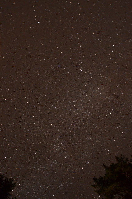Perseid meteor streaking by the Milky Way.