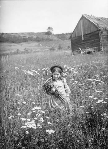 Girl in a field of daisies / Fillette dans un champ de marguerites