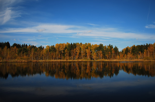 Autumn at the Lake