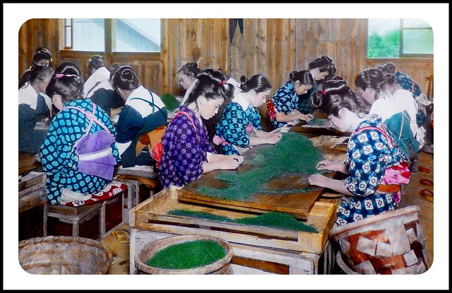 1920s HAIRSTYLES of the JAPANESE TEA SORTERS