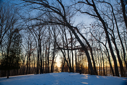path winter overlook observationpoint tracks statepark wildcatmountain snow trees forest wisconsin trail wildcatmountainstatepark driftlessarea branches sunset ice ontario unitedstates us