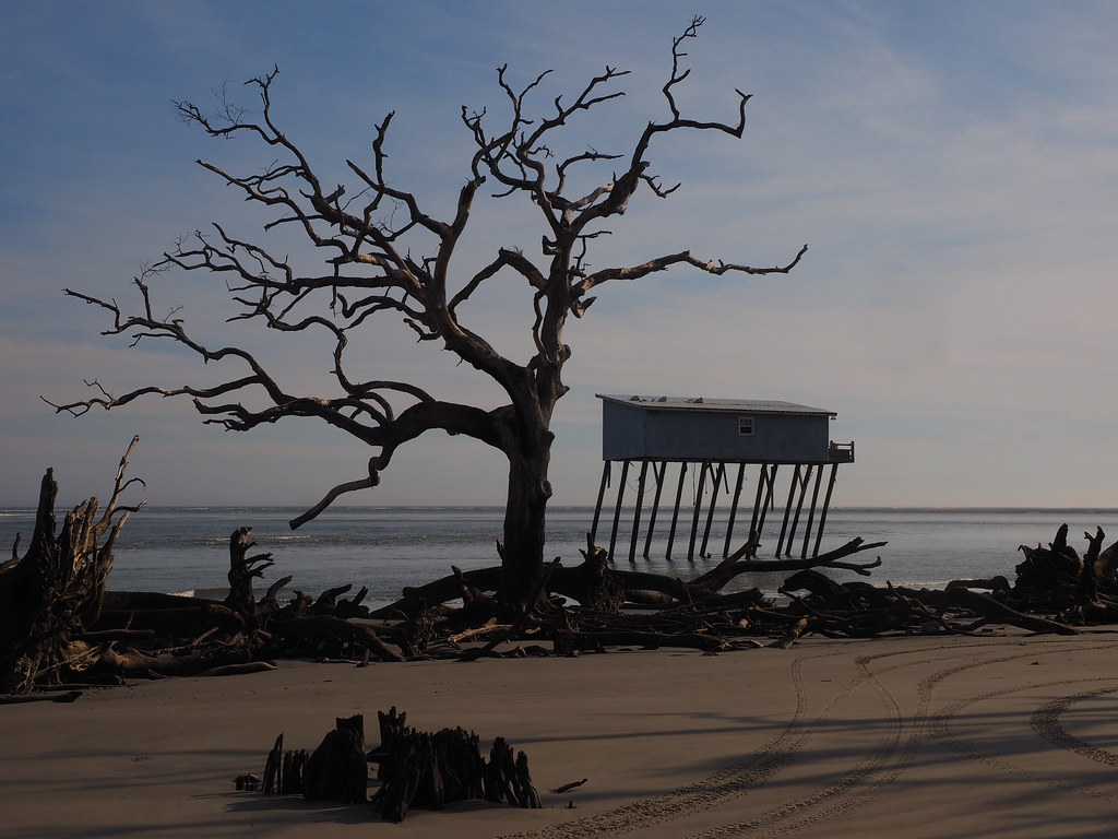 Still Standing | OLYMPUS DIGITAL CAMERA | carlinsc | Flickr
