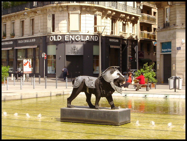 Lions à Lyon  2004
