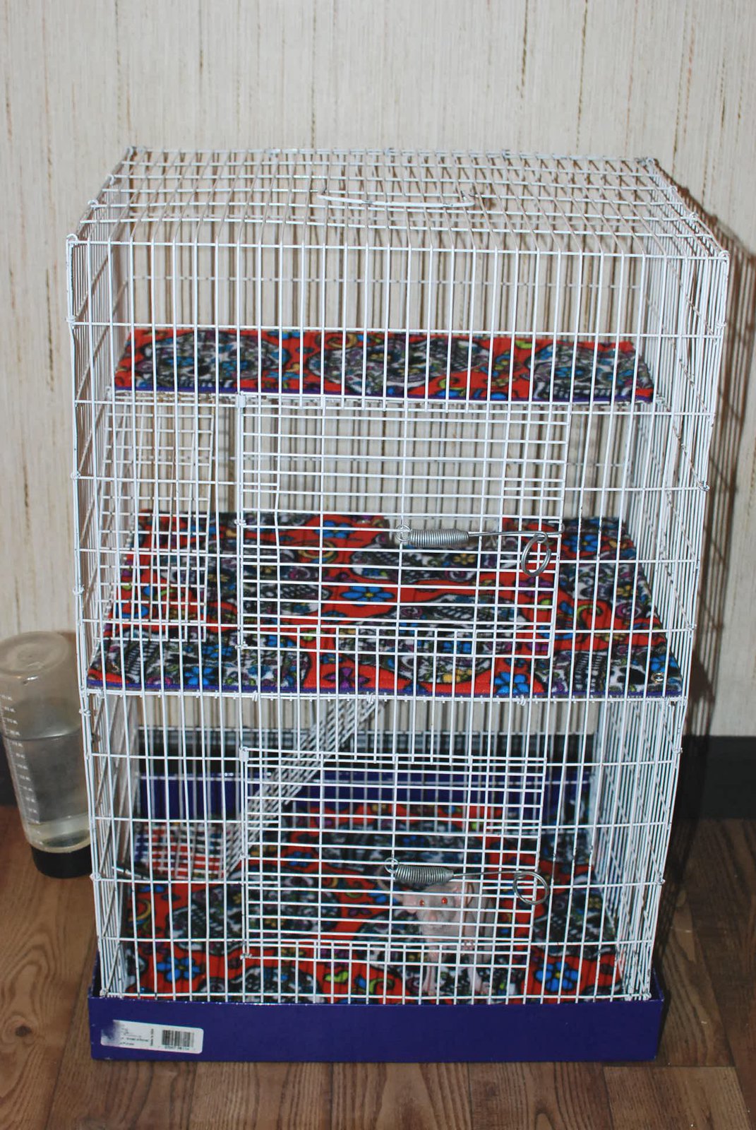 New liners for nakie girls cage.