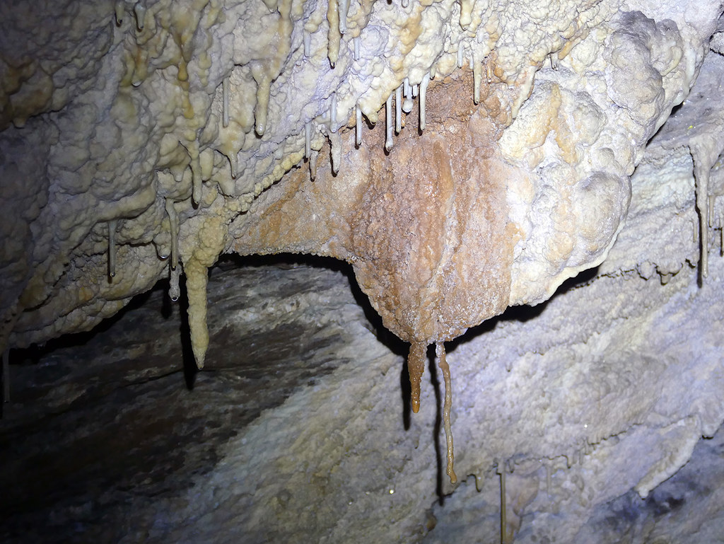 25.3.2017 - Fledermausbeobachtungstour in der Totenhöhle, Meiringen BE