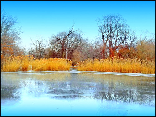 winter newyork reflection brooklyn image prospectpark dmitriyfomenko winter12014
