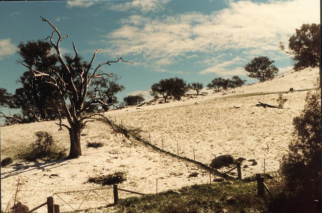 Snow on slopes of Mt Painter, Belconnen
