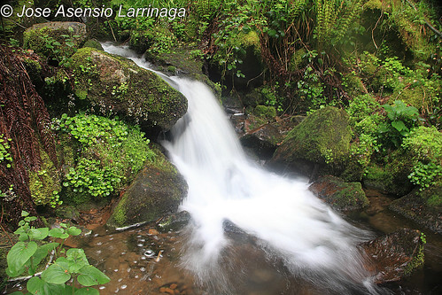 Pequeña cascada #DePaseoConLarri #Photography  6