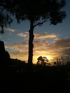 Sunset, Upper Ferntree Gully