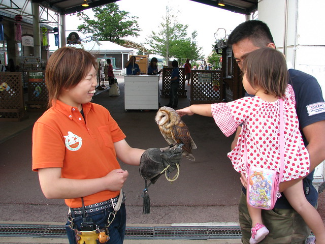 Tashiro Onsen Trip たしろ温泉旅行 - Animal King Land  どうぶつ王国 - Owl フクロウ