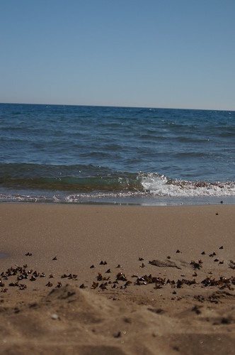 Strand Beach