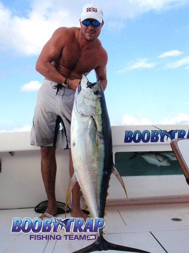 206Booby-Trap-Fishing-Team-Yellowfin-Tuna | by boobytrapfishingteam