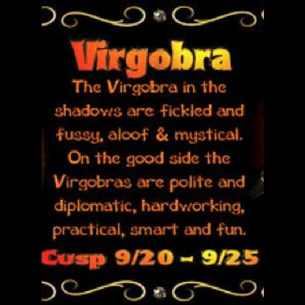 Virgo libra cusp daily horoscope