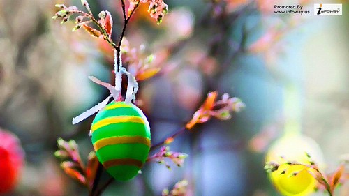 Branch Color Green Egg Easter Macro Nature | by allen_smith35