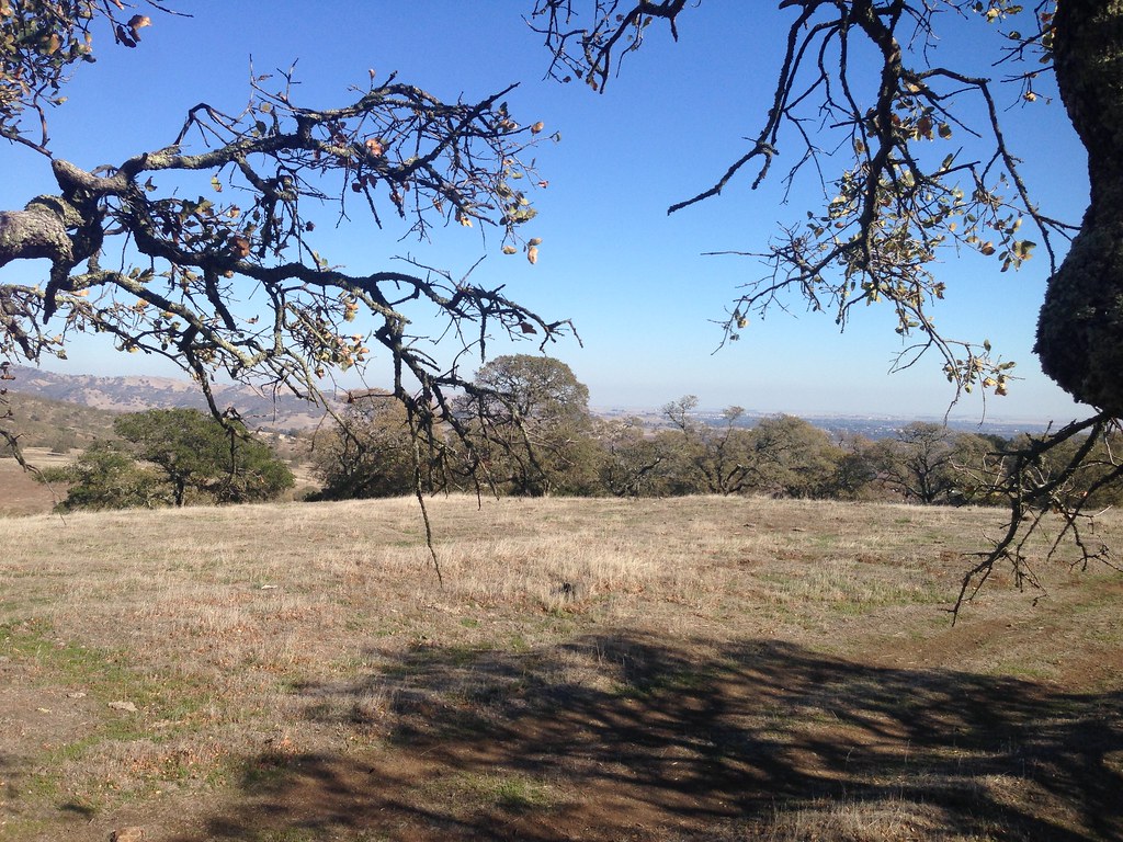 Harmonia Trail