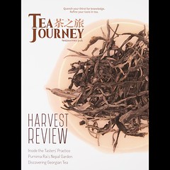 Tea Journey #2