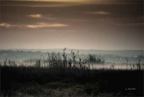 Humedales de Santa Pola by Jose Rubio,