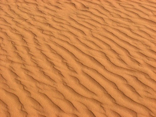 Sand Dunes 051 | by Chandler West
