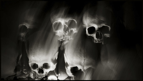 Skulls (Skull, Teschi, Teschio) - fotografia di Augusto De… | Flickr