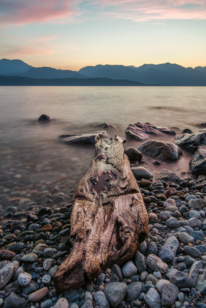 Local Log