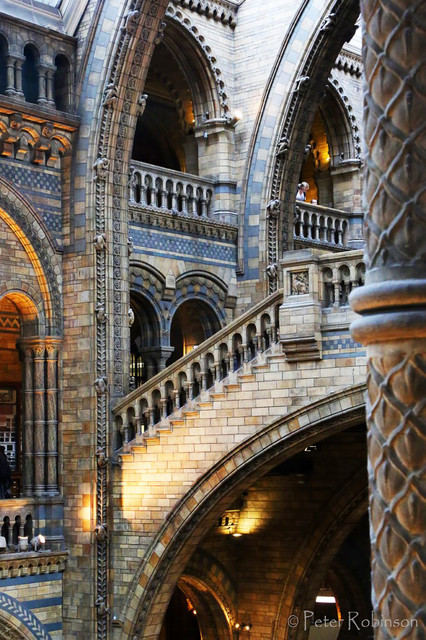 Natural History Museum