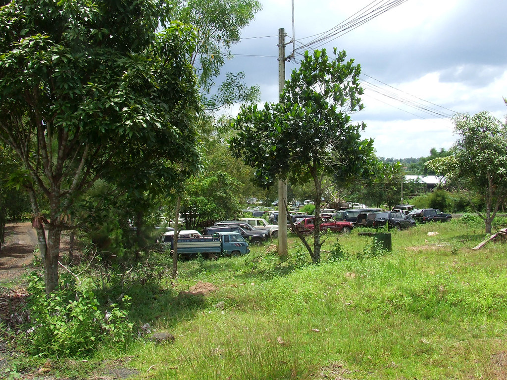Army and police seize 10 illegal logs in Basilan village