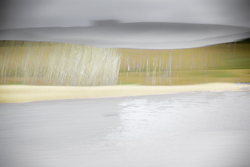 Reeds, Abbotsbury | by Nicki Gwynn-Jones