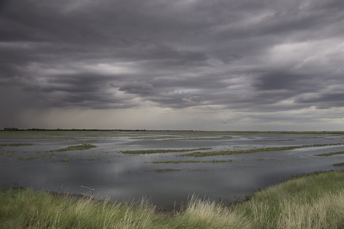Freiston managed re-alignment site - The Wash | by Neil Pike
