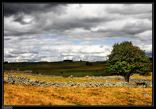 Marchastel (Lozère) by chando*, france paysage languedocroussillon aubrac lozère marchastel