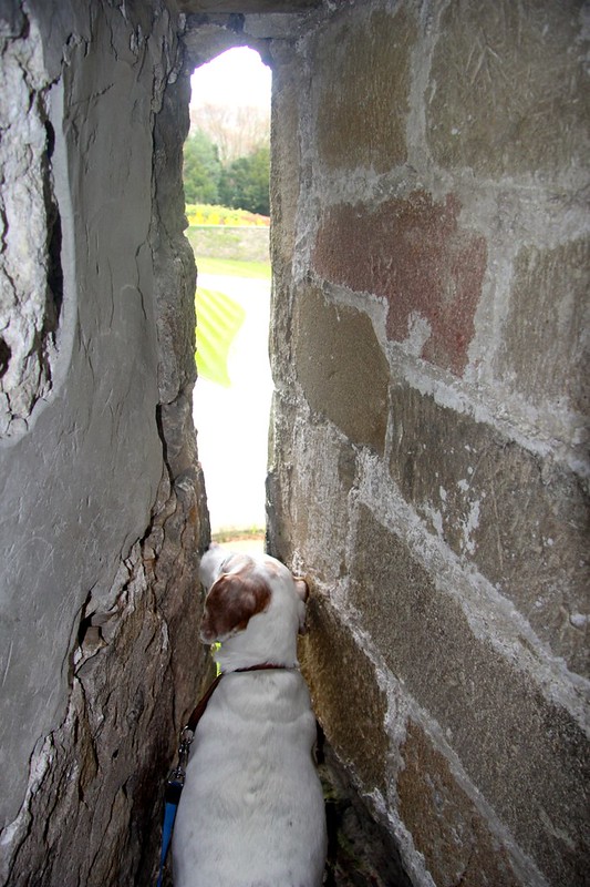 Berta explores Skipton Castle