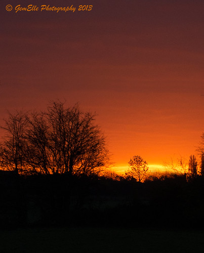 trees sunset orange sun silhouette sunrise nikon purple sigma 50500 gemelle d600 gemelle1 gemellephotography