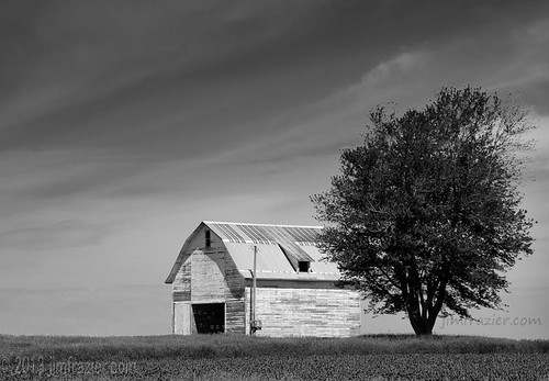 creston rochelle illinois il barn tree lone alone empty farm field bw blackandwhite monochrome desaturated lincoln highway lincolnhighway pastoral rural country rustic agriculture crops bucolic summer sunny wood wooden agricultural shed old aged weathered worn atmospheric mystery mysterious desolate deserted lonely isolated solitary single ruleofthirds negativespace contrast scenery scenic landscape q4 f10 fastpictures v1000