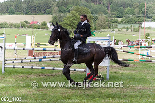 063_1103