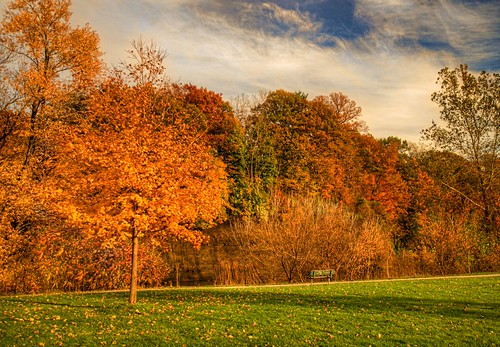 13.11.04.17.02.32 by Jeff®, park autumn ohio fallcolors lakecounty a77 painesville sigma102035 jeff® copyright©byjeffreytaipale