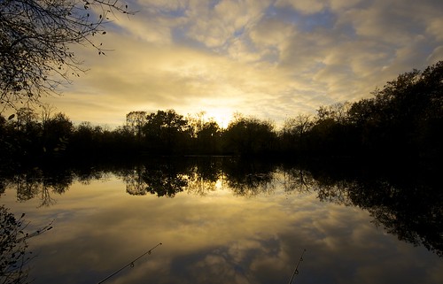 trees sunset reflection clouds fishing rods angling