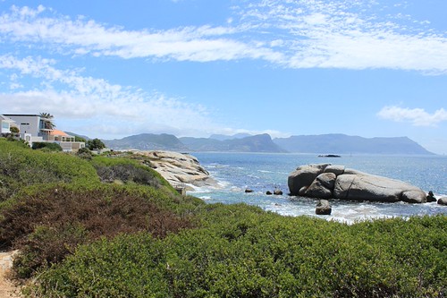 Boulders penguin colony