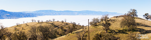 california ca fog landscape us pano unitedstatesofamerica tehachapi centralcalifornia stallionsprings