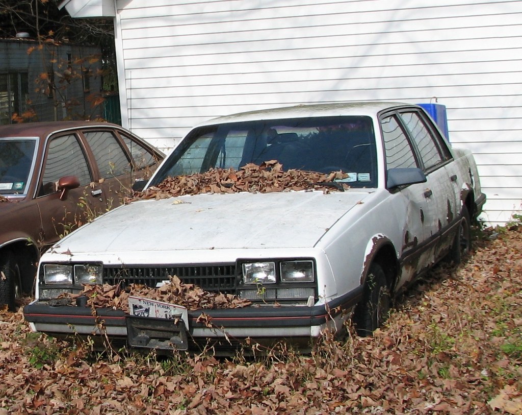 A RUSTY 1985 CHEVY CELEBRITY IN OCT 2013