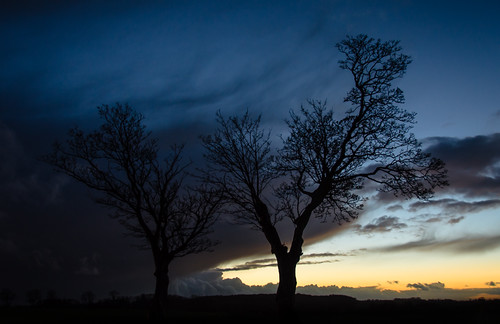 trees sunset sky storm night clouds cloudy sweden pair silhouettes windy stormy swedish nightfall