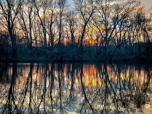 shotoniphone iphoneography sunset wetlands loopisland reflections