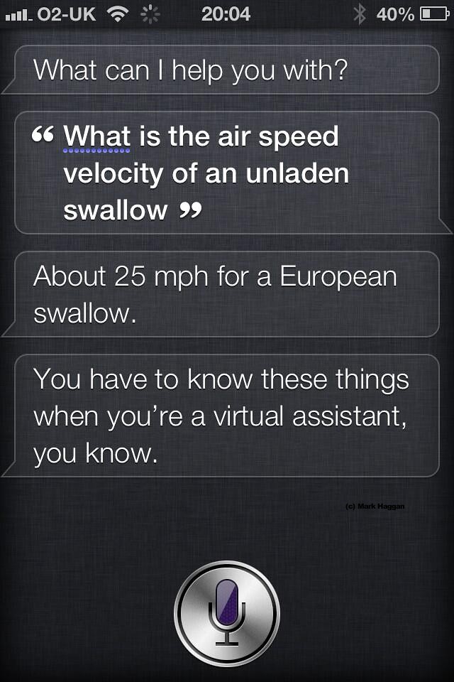 What is the air speed velocity of an unladen swallow?
