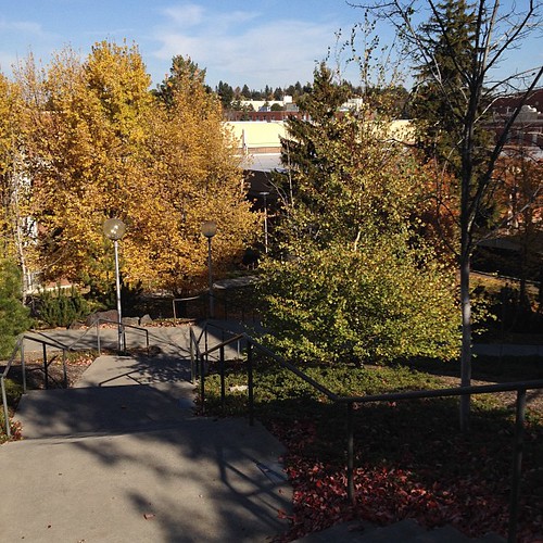 Colder temps rolling into the @WSUPullman campus #wsu #gocougs #fall